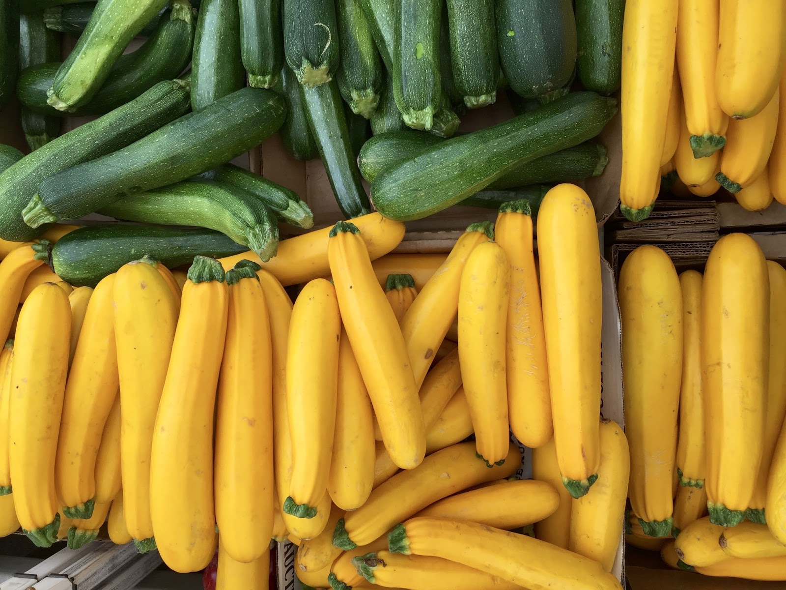 Kvell in the Kitchen Smoky Summer Squash and Yogurt Spread The