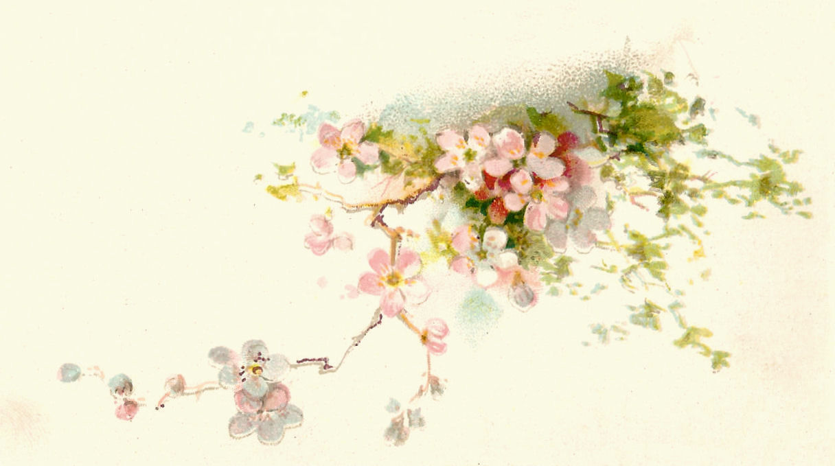 free clip art vintage flowers - photo #18