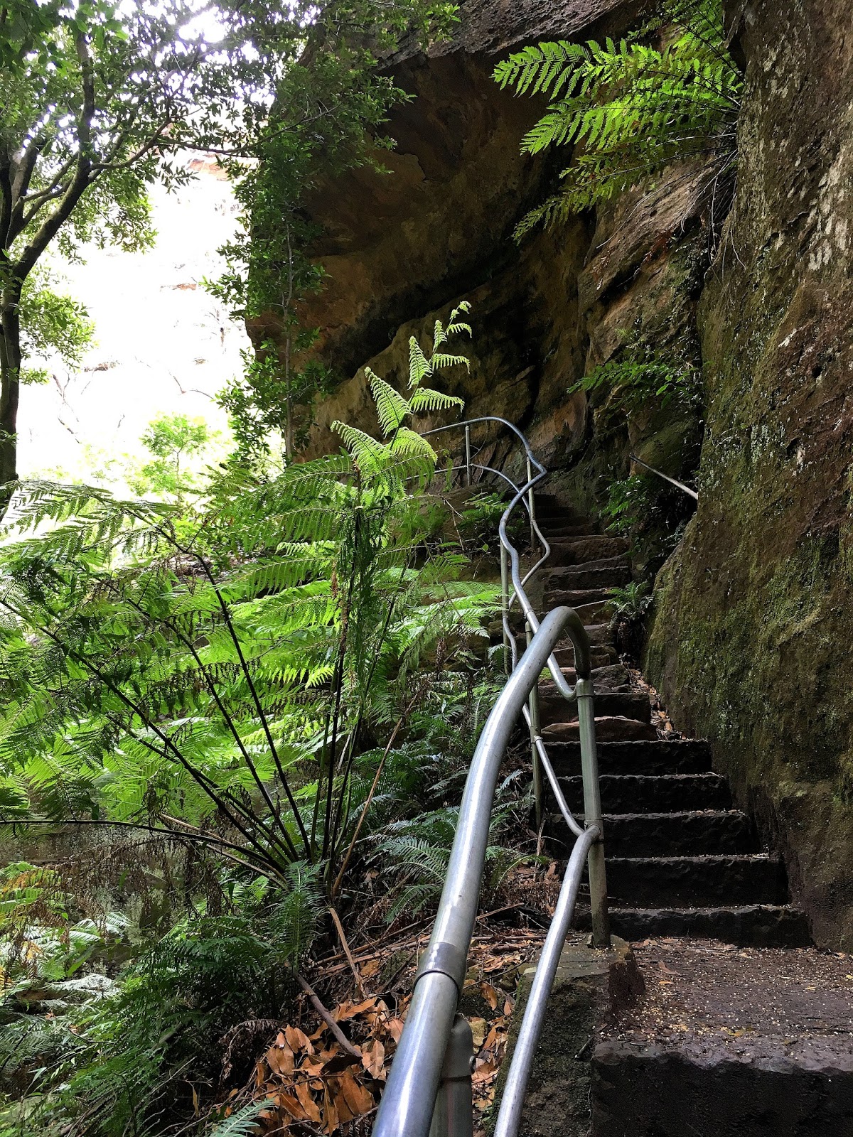 Hiking solo the Grand Canyon in Australia's Blue Mountains has been one of the greatest adventures. With breathtaking views and endless stairs, come and find out more!