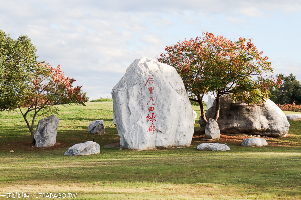后里花田綠廊大波斯菊花海盛開,賞花拍照順遊棒棒糖花海 后里花田綠廊大波斯菊花海盛開,賞花拍照順遊棒棒糖花海