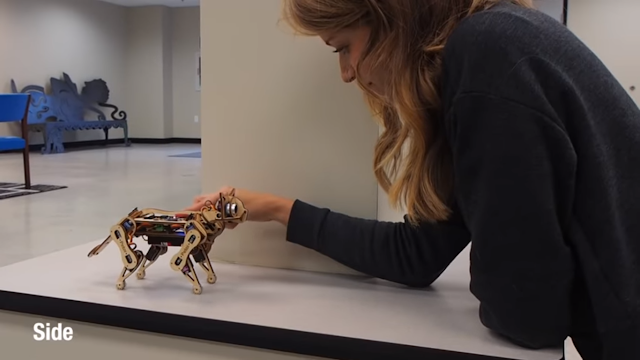 Video Monday: Open Source Robotic Kitten, and More this month