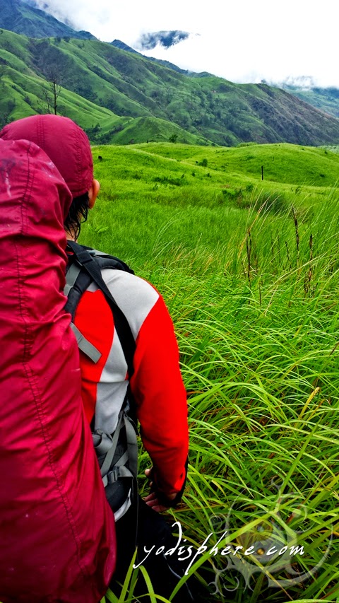Hiker trekking grassland trail of Mt. Cinco Picos in Zambales  hover_share