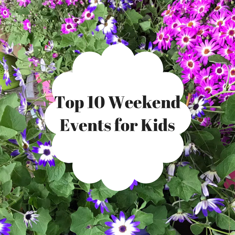 Official Youtube Blog Gaming Gets A New Home On Youtube