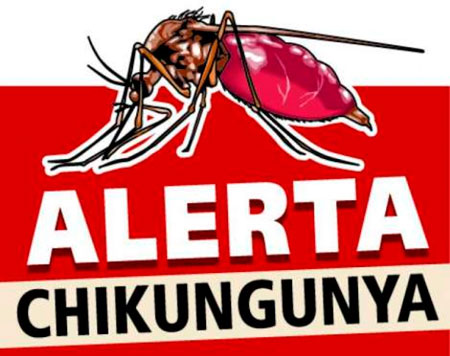Primeiras mortes por Chikungunya são confirmadas no Brasil