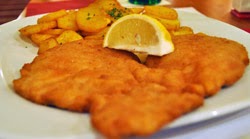 Vienos pjausnys Vienos pjausnys