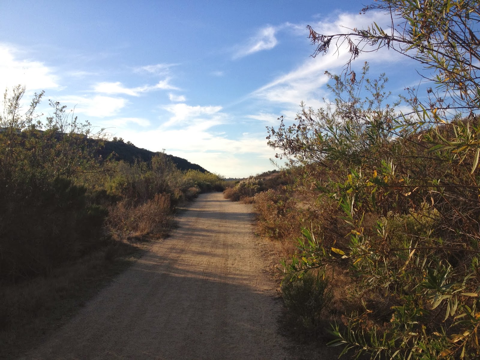 Caleb's Geography Blog Gonzales Canyon Open Space San Diego, California