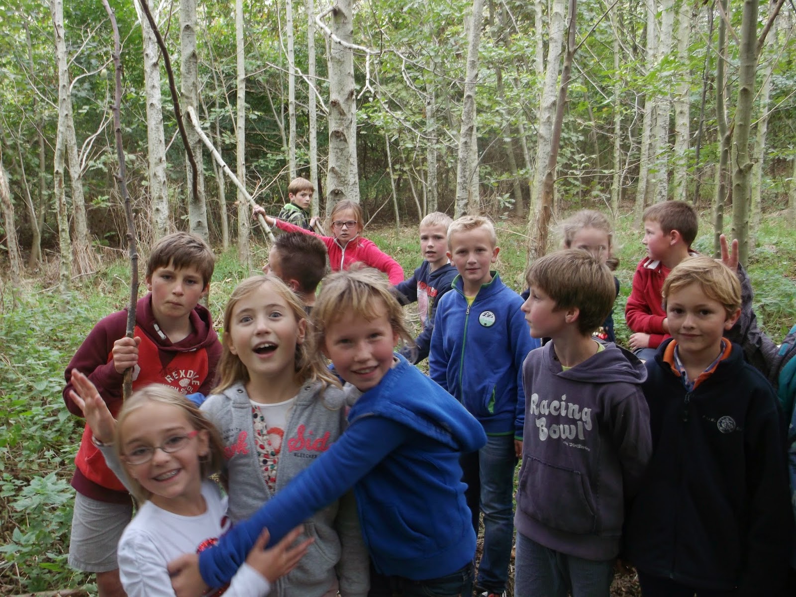 Het Boompje - meester Nico: Naar het bos in Zandvoorde