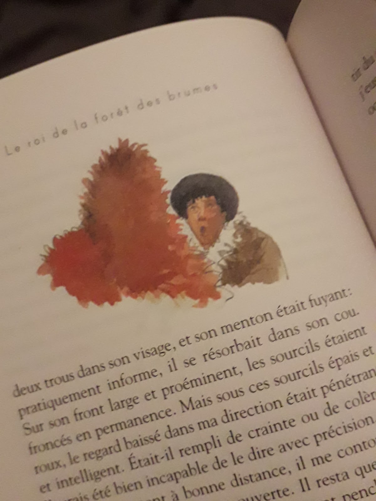 LE ROI DE LA FORÊT DES BRUMES/ MICHAËL MORPURGO ET ILLUSTRE PAR FRANCOIS PLACE LE ROI DE LA FORÊT DES BRUMES/ MICHAËL MORPURGO ET ILLUSTRE PAR FRANCOIS PLACE