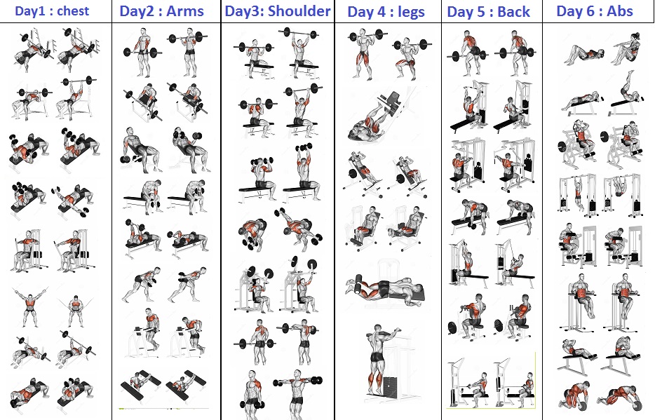 Simple 5 day workout split each muscle twice a week for push your ABS