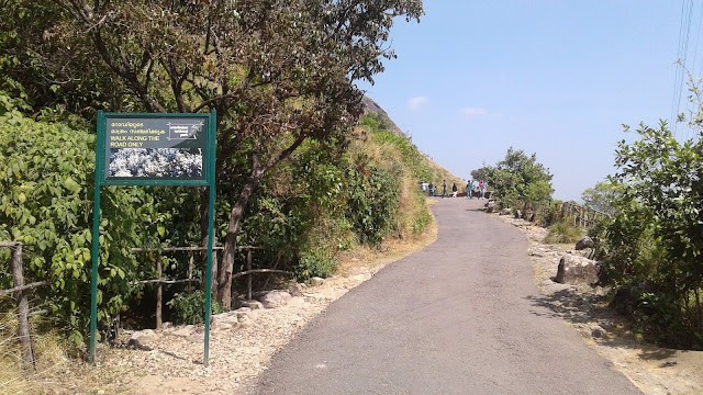walking path inside eravikulam national park, munnar, kerala, india 