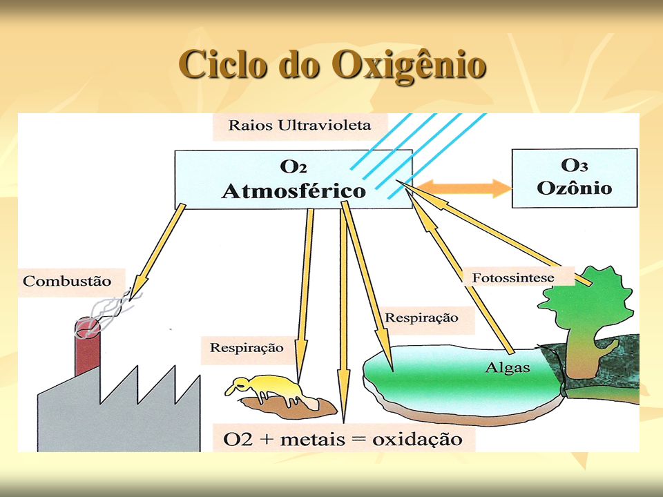 Oxigênio, Propriedades Físicas e Químicas do Oxigênio