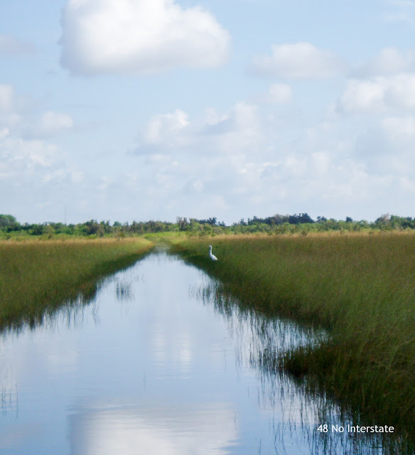 48 No Interstate: Our Favorite Highways:  US 1 - Everglades Alligator Farm, Florida