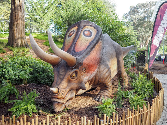 Torosaurus dinosaur