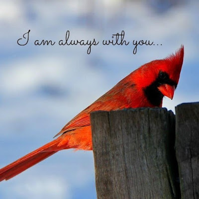 Birds Quotes