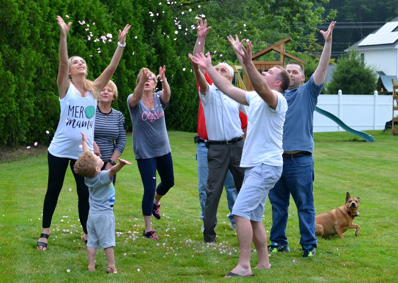 Mero Desh Mero Nepal Official Music Video Canadanepal Net