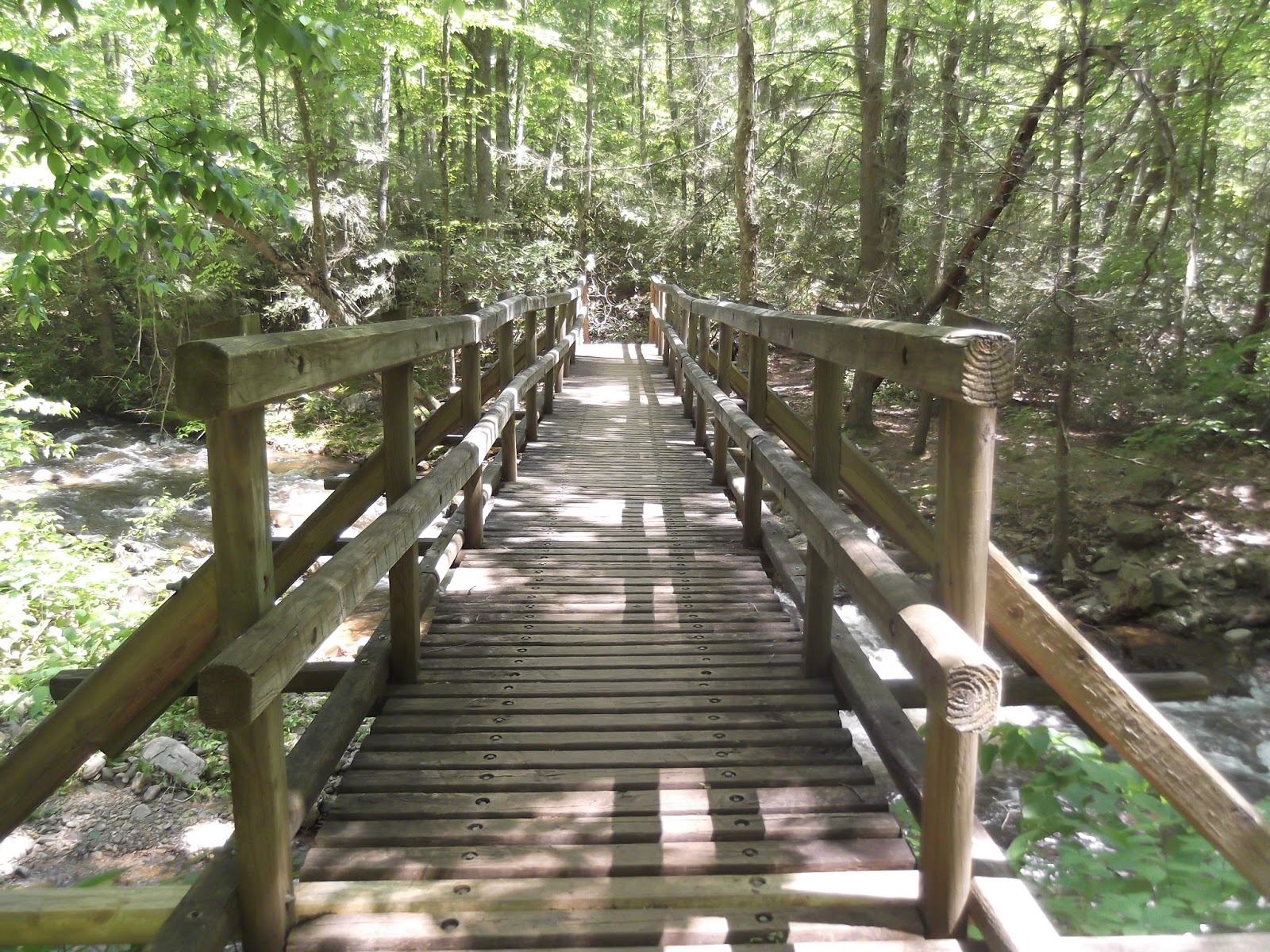 Appalachian Trail Section hiking Wilbur Dam Road to Dennis Cove Road