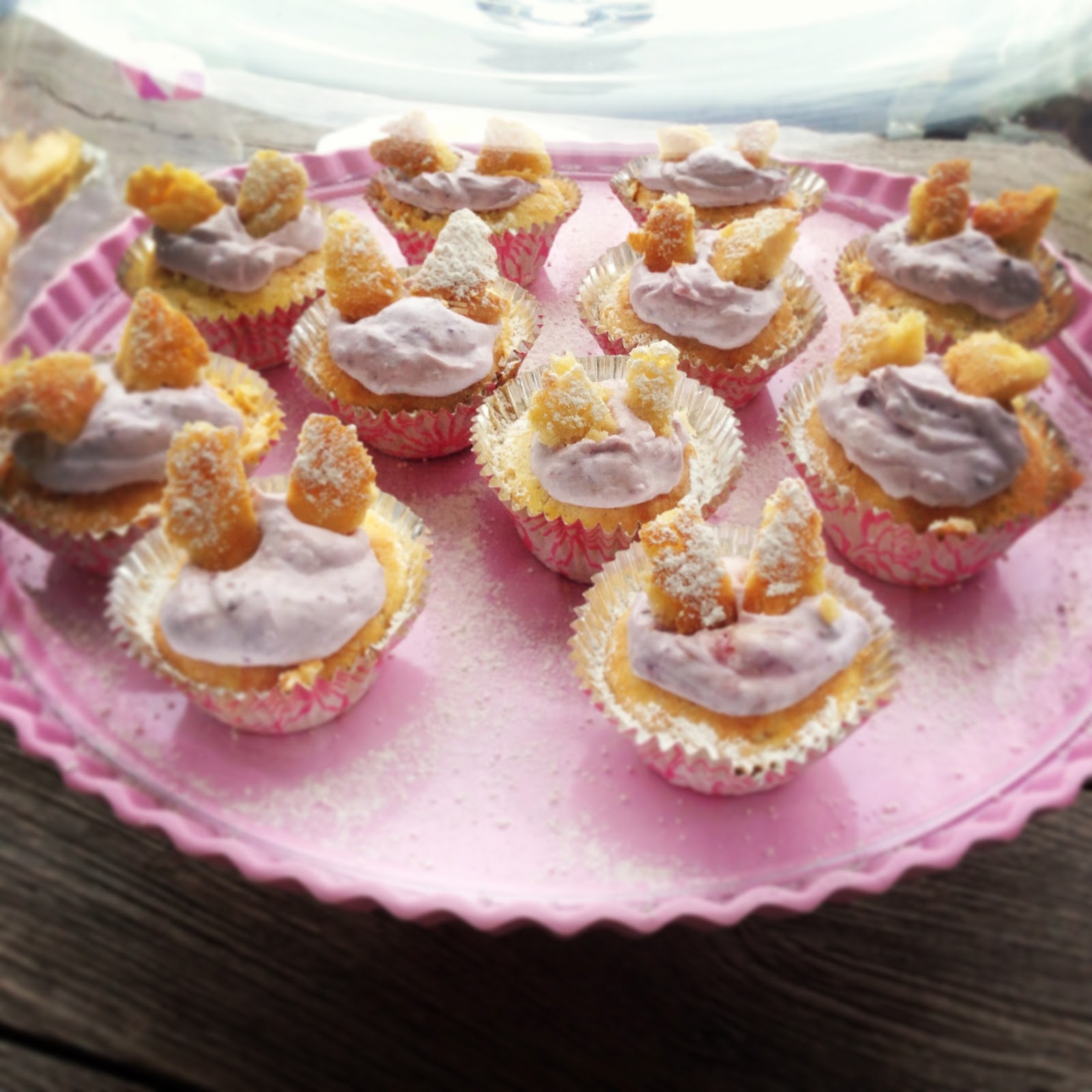 Skinny Sweets and Treats Skinny Sugarfree Glutenfree Butterfly Cakes