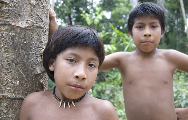 awa tribe fact file awa tribe fact file