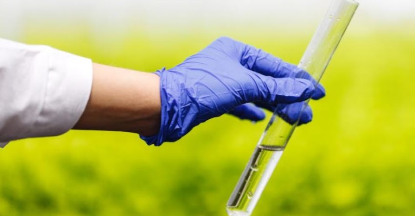 VOCACIÓN PROFESIONAL: Sepa qué carreras estudiar si te interesa contribuir al cuidado del medio ambiente VOCACIÓN PROFESIONAL: Sepa qué carreras estudiar si te interesa contribuir al cuidado del medio ambiente