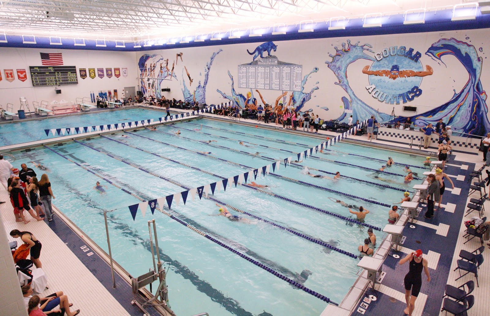Mark Kodiak Ukena IHSA Girls Swimming Sectionals at Vernon Hills High