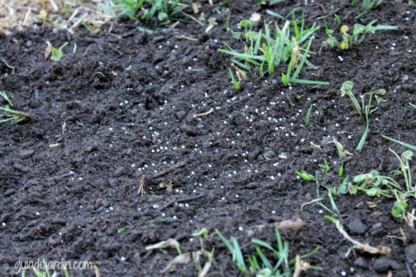 Paso a paso: Resembrando en primavera las zonas dañadas del césped