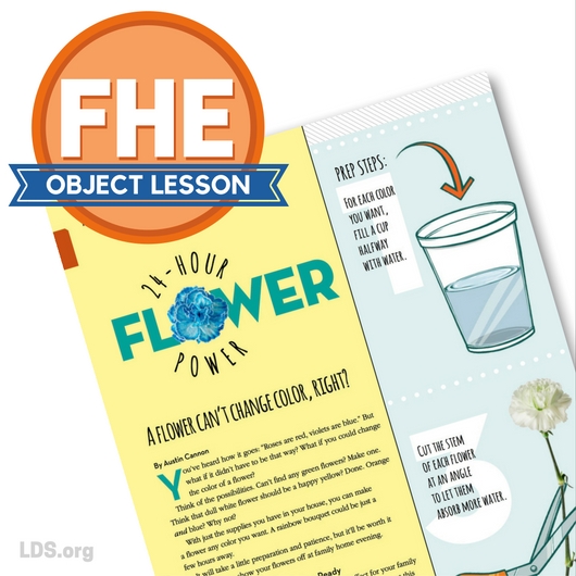 15 fhe new era object lessons linda winegar