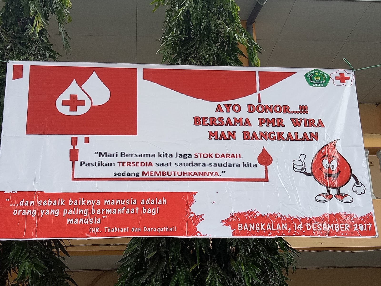 Ayo Donor Darah Bersama PMR Wira MAN Bangkalan dalam Ayo Donor Darah Bersama PMR Wira MAN Bangkalan dalam