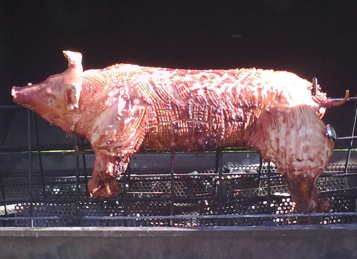 Fra Limfjordens bredder...: Griseri