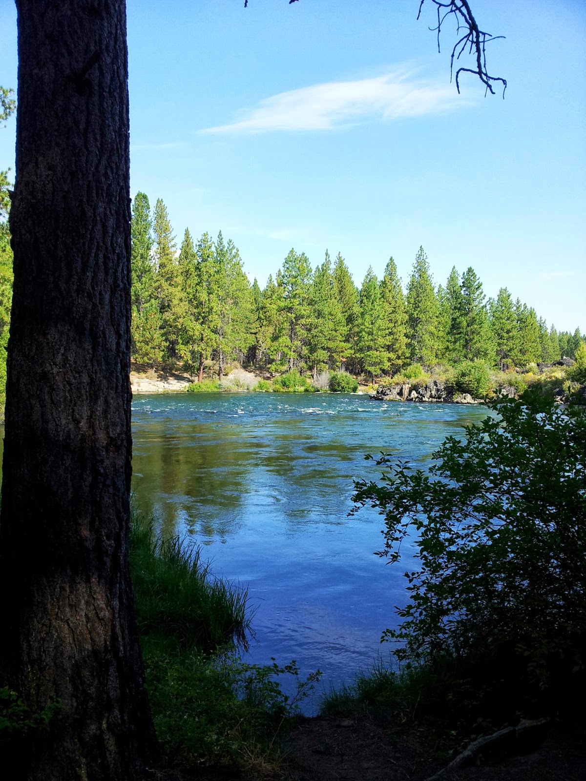 Charlie Bottita's Adventures Deschutes River Trail Mountain Bike Ride