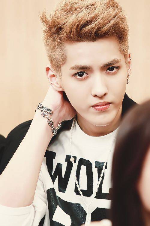 Member EXO tertampan