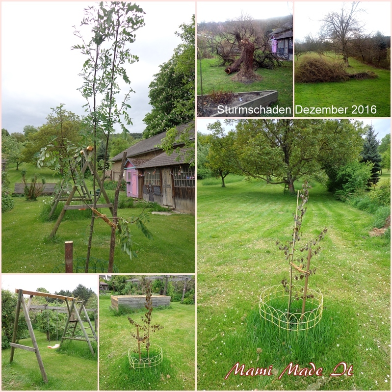 Mami Made It Mein Garten im Mai May Garden