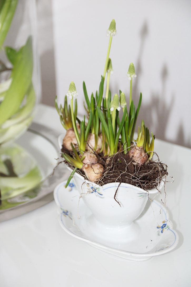 Zwiesprache Mocht Ich Mit Dir Pflegen