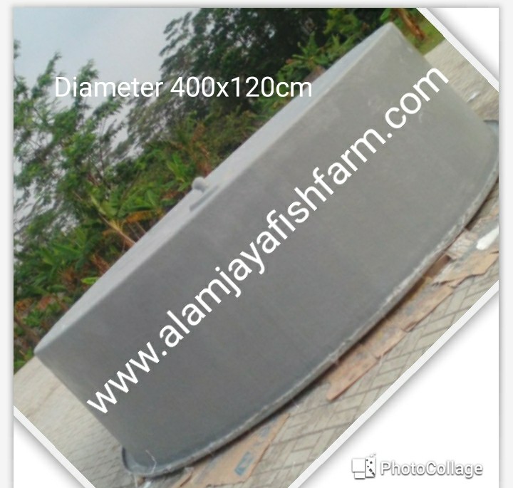 Bak Fiber Kolam Bulat Phytoncatfishfarm