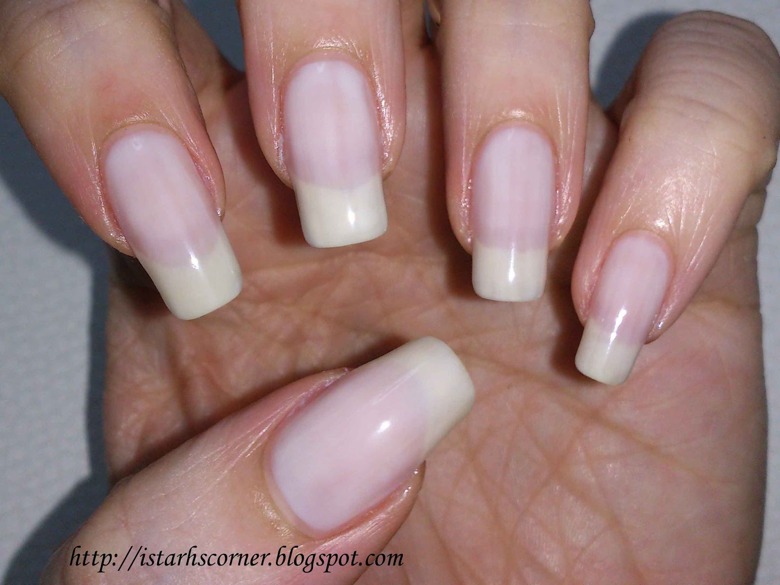 Istarh's Corner (Mi rinconcito) Kiko 204 French White