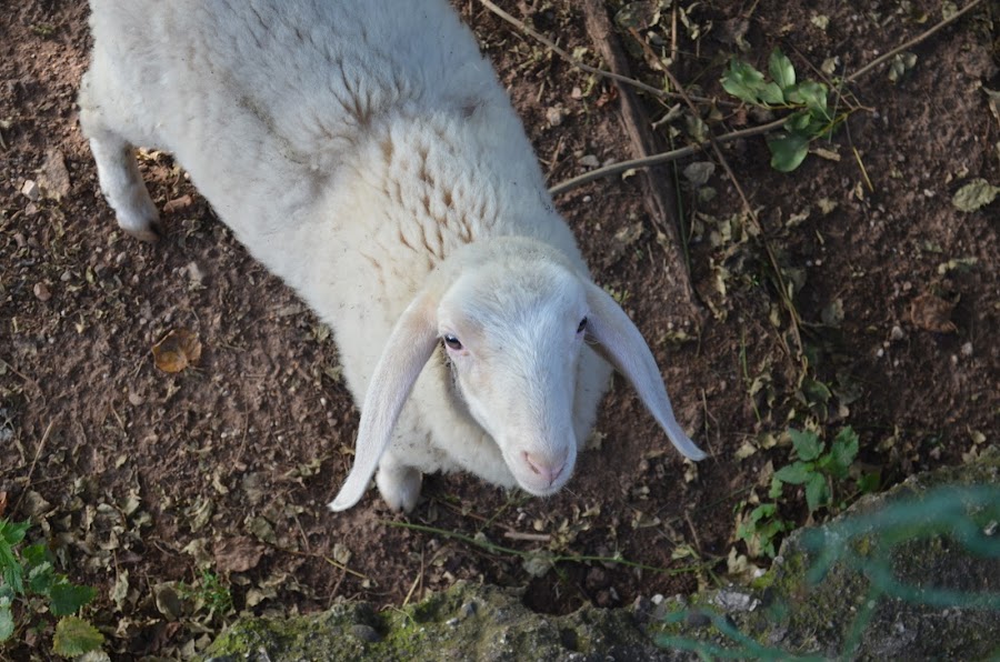 italy desdeestelaodemimundo.blogspot.it