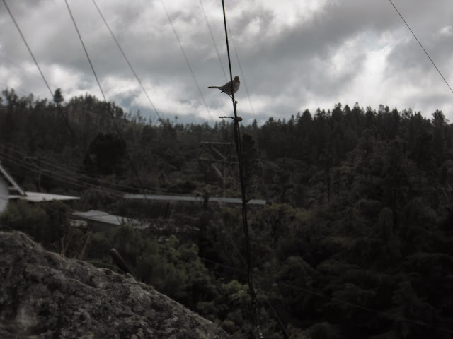 Foto tirada em Campos do Jordão