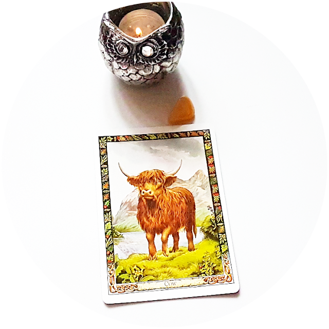 The Druid Animal Oracle Deck-Cow