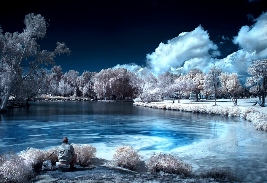 Photo Effect Infrared (IR) Photo