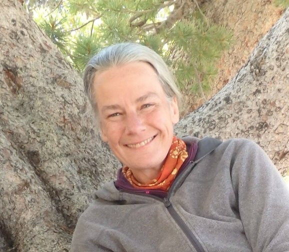 Tell No One 2006 - IMDb