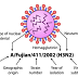 Αυξητική τάση κρουσμάτων γρίπης. Μοριακή ανίχνευση από το Ελληνικό Ινστιτούτο Παστέρ