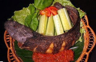 pecel lele Kreasi resep masakan indonesia