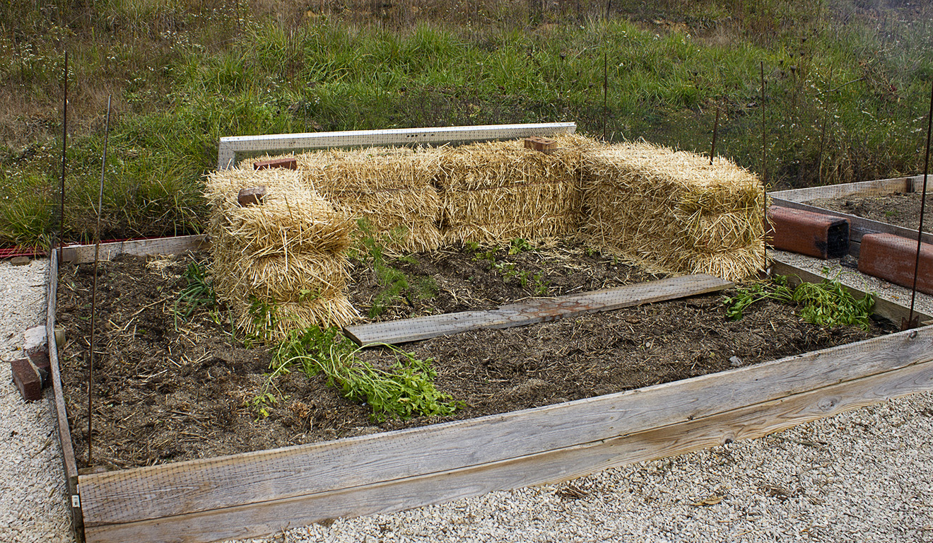 Rurification Robin Edmundson Cold Frame