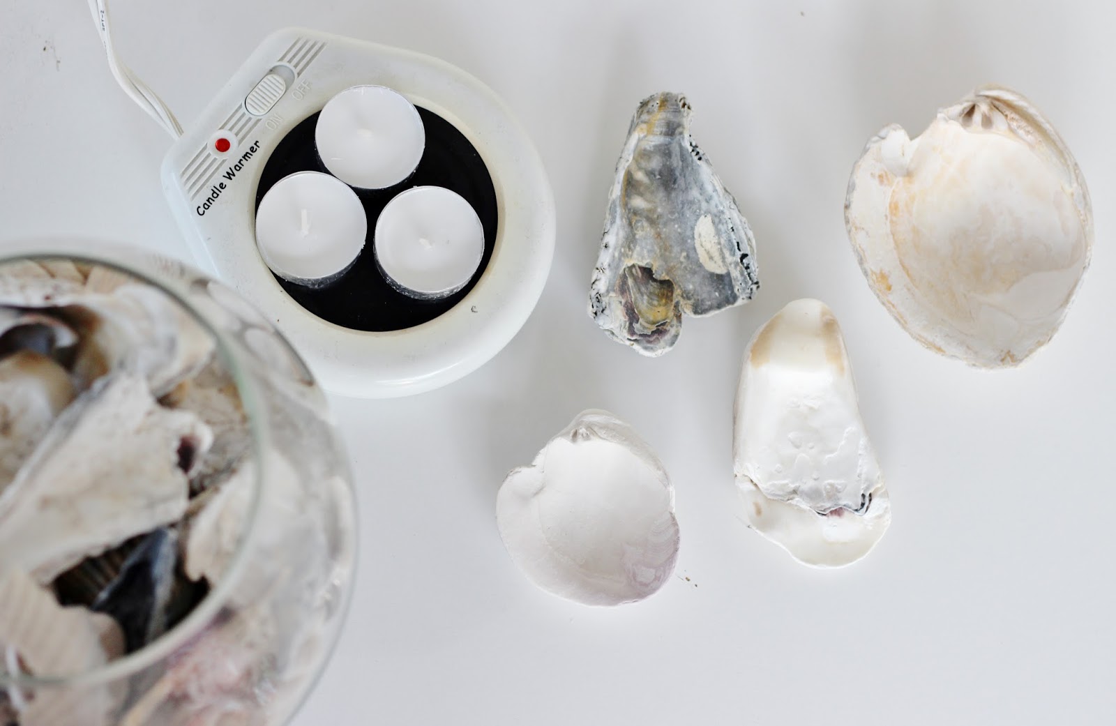 DIY Seashell Candles - Dina's Days
