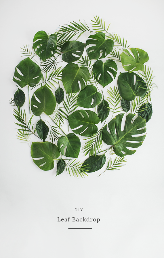 diy-mural-hojas-naturales-leaf-backdrop