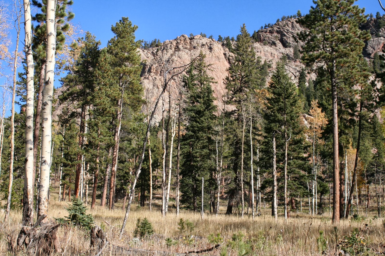 The Hiker: Staunton State Park Hike