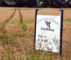 Hohenaspe Eine Gemeinde Stellt Sich Vor August 2017