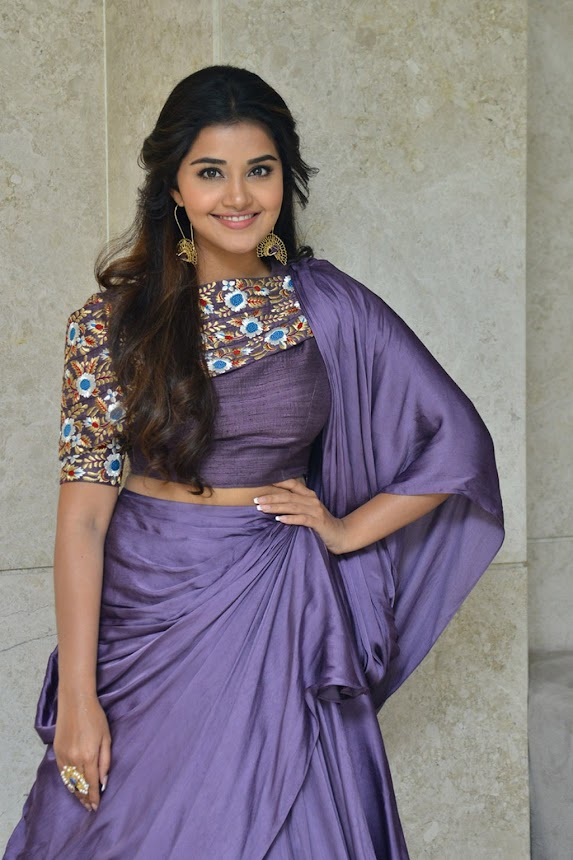 Anupama Parameswaran at Hello Guru Prema Kosame Success Meet