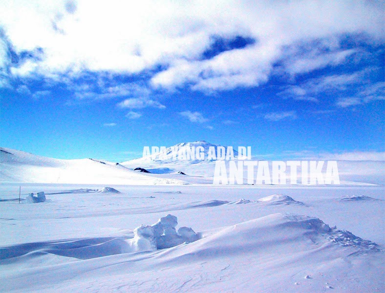 Apa Yang Ada Di Antartika