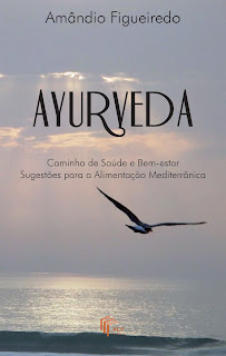 photo ANGOLA E FUTURO capa press.jpg