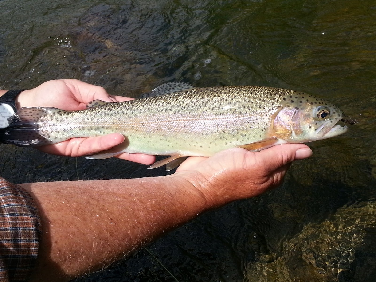 Vermont Fly Fishing Vermont Fly Fishing